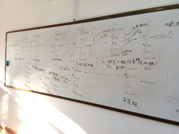 插入五_编辑.jpg